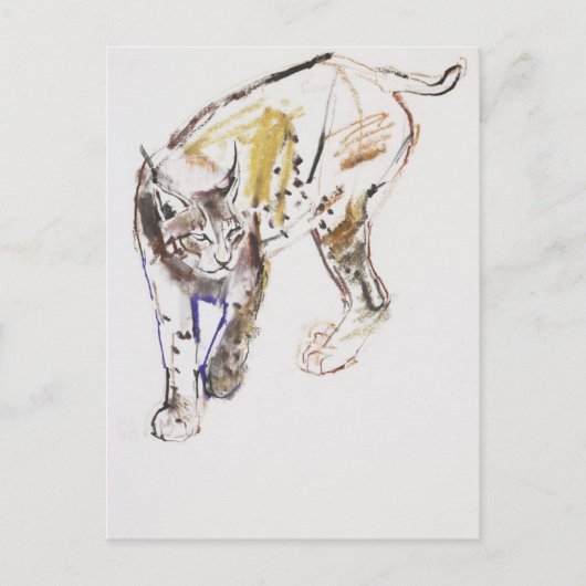 Europäischer Lynx Postkarte (Vorderseite)