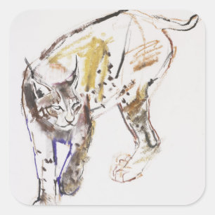 Europäischer Lynx Quadratischer Aufkleber