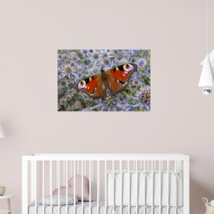Europäischer Pfau oder Pfauenschmetterling Poster