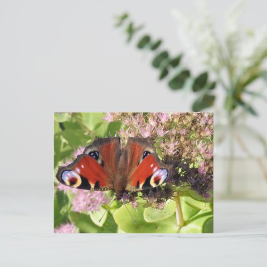 Europäischer Pfau Postkarte (Stehend Vorderseite)