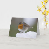 Europäischer Robin in Schneekarten Karte (Gelbe Blume)