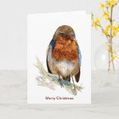 Europäischer Robin schaut Weihnachtskarte nach unt Karte (Gelbe Blume)