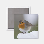 Europäischer Robin-Schnee-Magnet Magnet (Vorderseite/Rückseite)