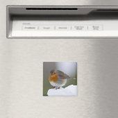 Europäischer Robin-Schnee-Magnet Magnet (In Situ (Geschirrspüler))