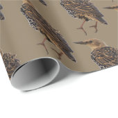 Europäischer Star Vogel Geschenkpapier (Rolleneckpunkt)