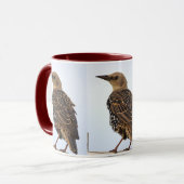 Europäischer Star Vogel Tasse (Vorderseite Links)