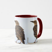 Europäischer Star Vogel Tasse (VorderseiteRechts)