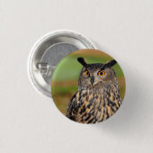 Europäischer Vogelvogel Button (Vorne & Hinten)