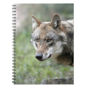 Europäischer Wolf Notizblock