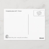 Europäischer Wolf Postkarte (Rückseite)