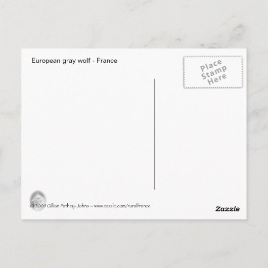 Europäischer Wolf Postkarte (Rückseite)