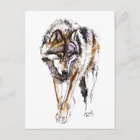 Europäischer Wolf Postkarte (Vorderseite)