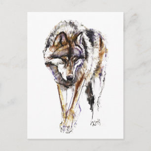Europäischer Wolf Postkarte