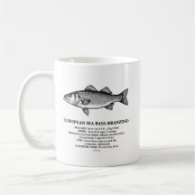 Europäischer Wolfsbarsch Branzino Vintage