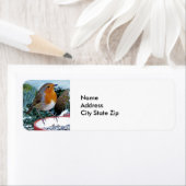 Europäisches Robin-Feeder-Foto (Insitu)