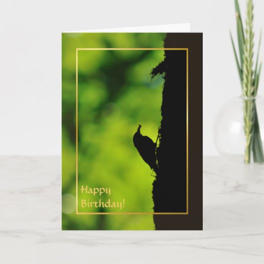 Europäisches treecreeper karte (Vorderseite)