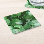 Europäisches wilder Ingwer-glattes Blätter-nahes Rechteckiger Pappuntersetzer (angewinkelt)