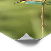 Europaposter Poster (Ecke)