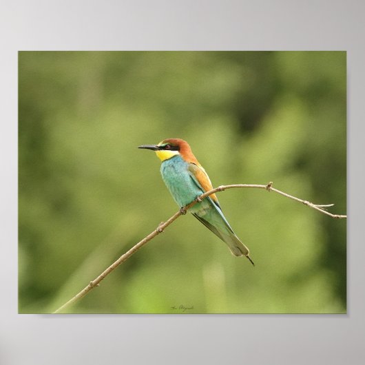 Europaposter Poster (Vorne)