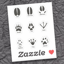 Europe Animal Tracks Set Stickers