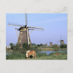 Europe, Netherlands, Zuid Holland, Kinderdijk. 2 Postkarte