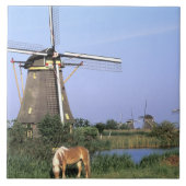 Europe, Niederlande, Zuid Holland, Kinderdijk.2 Fliese (Vorderseite)