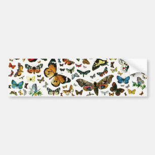Europe’s Best-Known Butterflies and Moths Collage Autoaufkleber