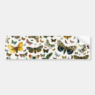 Europe’s Best-Known Butterflies and Moths Collage Autoaufkleber