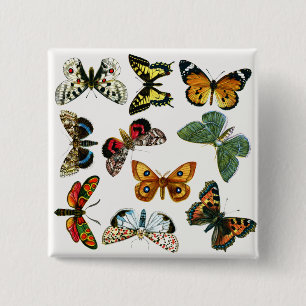 Europe’s Best-Known Butterflies and Moths Collage Button