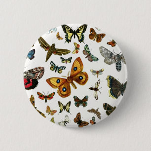 Europe’s Best-Known Butterflies and Moths Collage Button