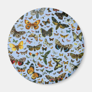 Europe’s Best-Known Butterflies and Moths Collage Magnet