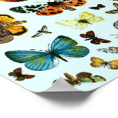Europe’s Best-Known Butterflies and Moths Collage Poster (Ecke)