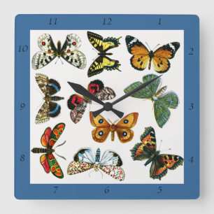 Europe’s Best-Known Butterflies and Moths Collage Quadratische Wanduhr