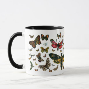 Europe’s Best-Known Butterflies and Moths Collage Tasse