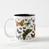 Europe’s Best-Known Butterflies and Moths Collage Zweifarbige Tasse (Links)