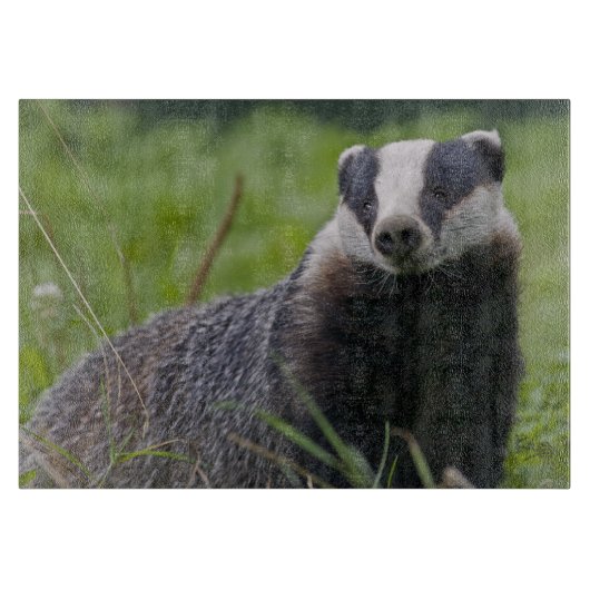 European Badger Rechteck Cutting Board Schneidebrett (Vorderseite)