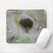 European Funnel Web Spider Mouse Mat Mousepad (Mit Mouse)