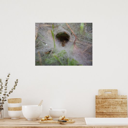 European Funnel Web Spider Poster (Küche)