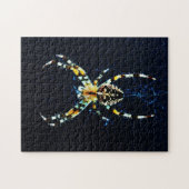 European Garden Spider 11x14 252pc jpcn Puzzle (Horizontal)