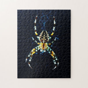 European Garden Spider 11x14 252pc jpcn Puzzle