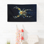 European Garden Spider bnra Banner (Insitu)