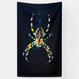 European Garden Spider bnra Banner
