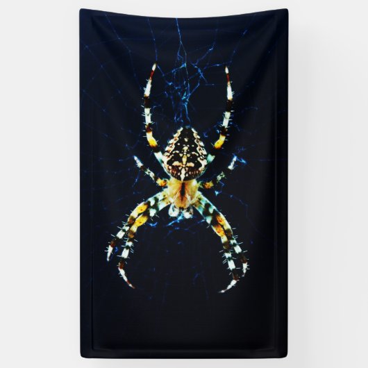 European Garden Spider bnra Banner (Vertikal)
