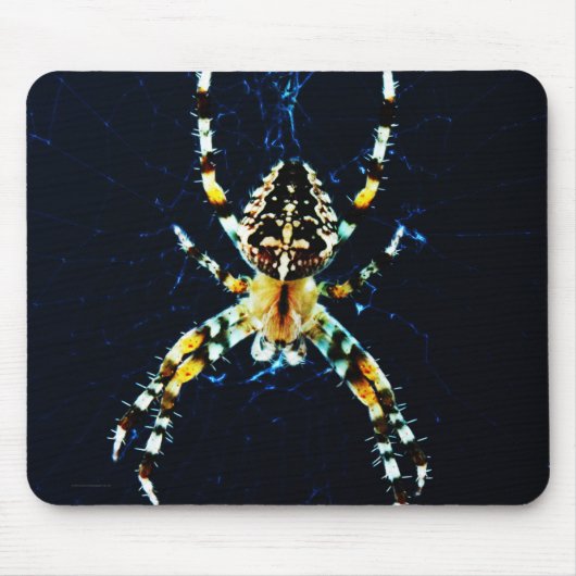 European Garden Spider Mousepad (Vorne)
