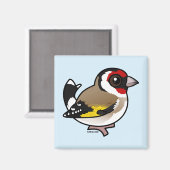 European Goldfinch Magnet (Vorderseite/Rückseite)