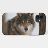 European Grey Wolf Case-Mate iPhone Hülle (Rückseite (Horizontal))