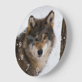European Grey Wolf Große Wanduhr (Winkel)