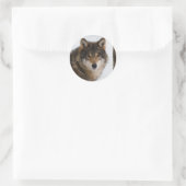 European Grey Wolf Runder Aufkleber (Tasche)