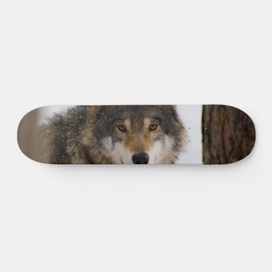 European Grey Wolf Skateboard (Horizontal)