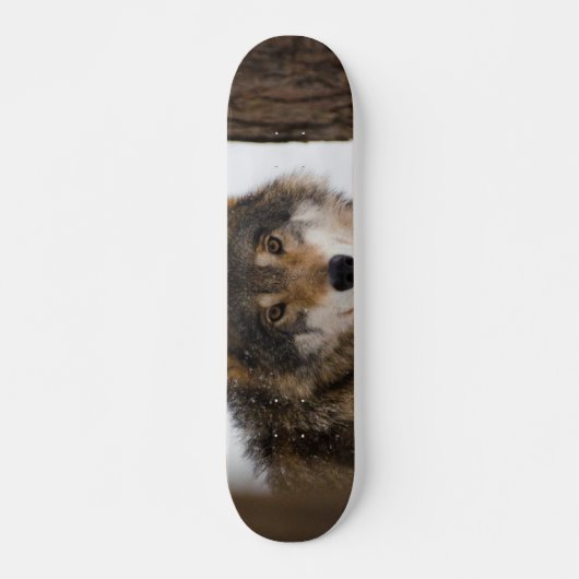 European Grey Wolf Skateboard (Vorne)